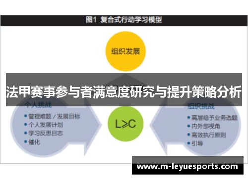 法甲赛事参与者满意度研究与提升策略分析