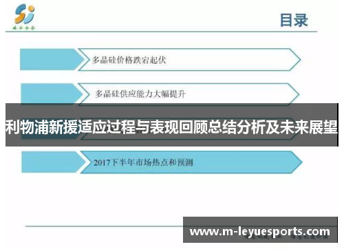 利物浦新援适应过程与表现回顾总结分析及未来展望