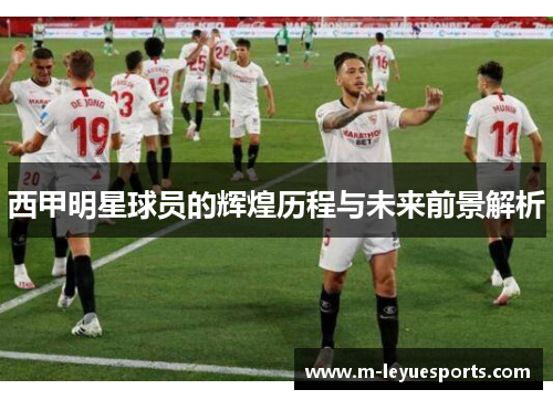 西甲明星球员的辉煌历程与未来前景解析