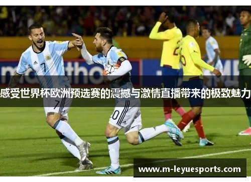 感受世界杯欧洲预选赛的震撼与激情直播带来的极致魅力