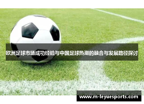 欧洲足球市场成功经验与中国足球热潮的融合与发展路径探讨