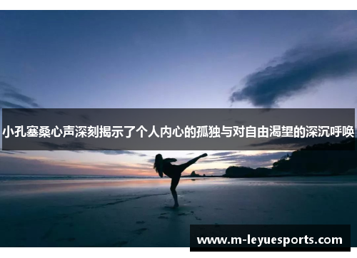 小孔塞桑心声深刻揭示了个人内心的孤独与对自由渴望的深沉呼唤